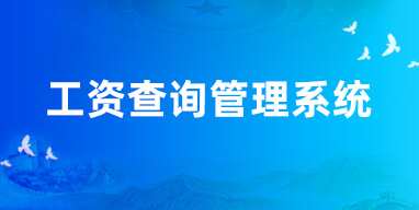 工資查詢(xún)管理系統